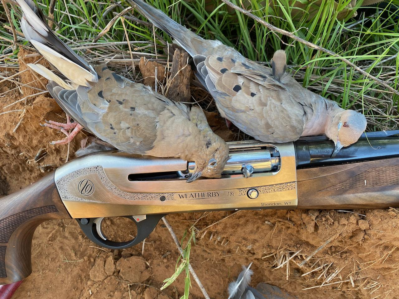 The Annual Dove Opener